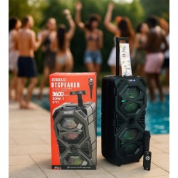 Υψηλής ποιότητας ηχείο με μικρόφωνο 8"x2 ZQS8212