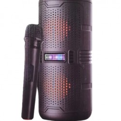 Ενεργό ηχείο καραόκε με Bluetooth 2205
