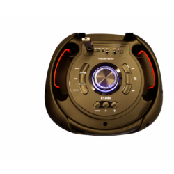 Καραόκε Toncolona WYNGR BT-1200 12 ιντσών