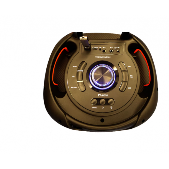 Καραόκε Toncolona WYNGR BT-1200 12 ιντσών
