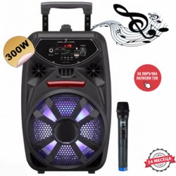 Σύστημα καραόκε Feiyipu ES-81
